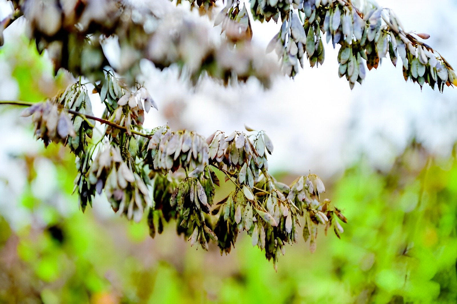 210f1d466db14cc3f7ee14a8a19204bd (1).jpg