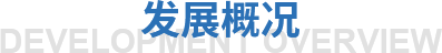 发展概况